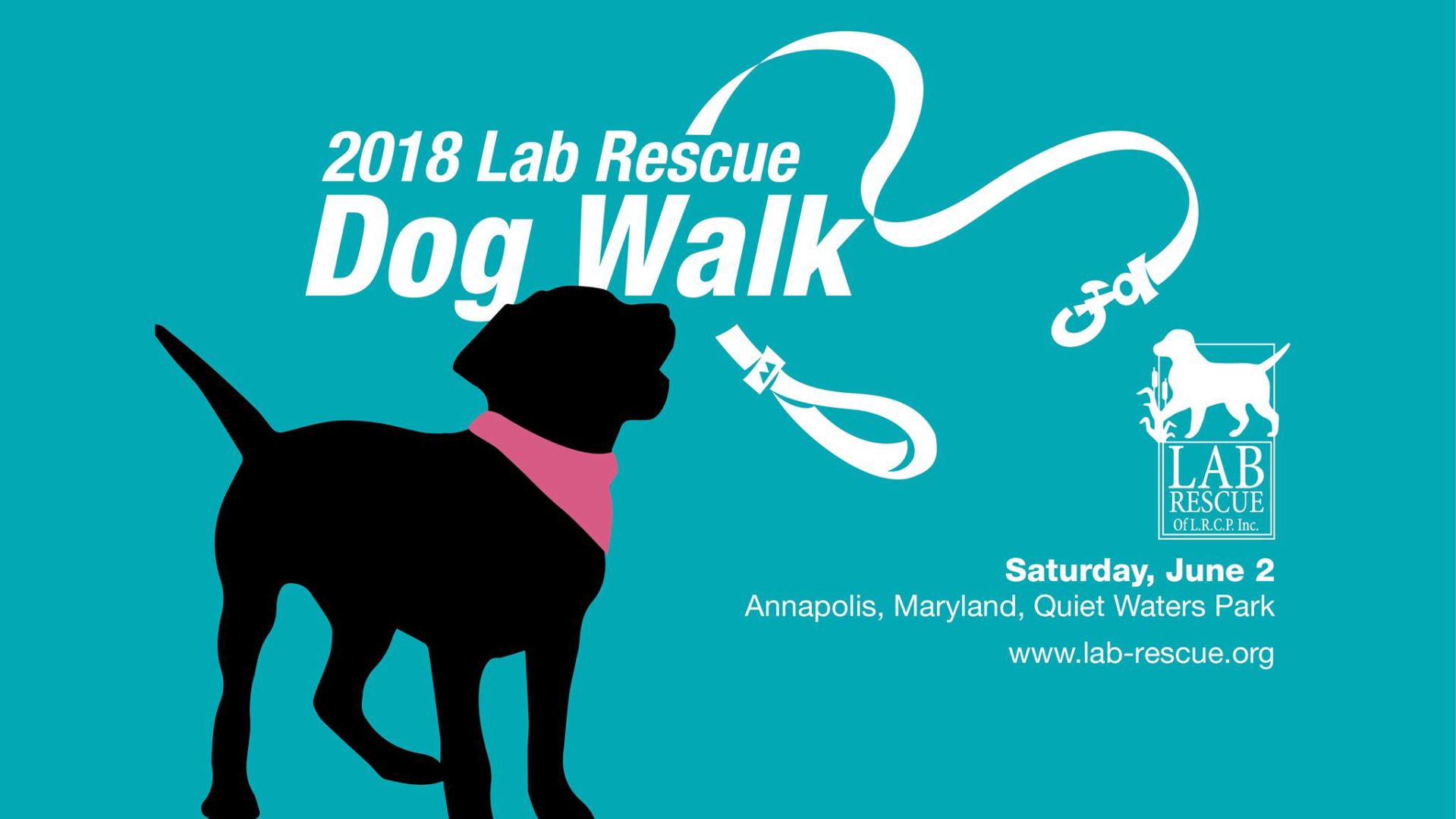 Lab Rescue - Lab Walk 2018.jpg